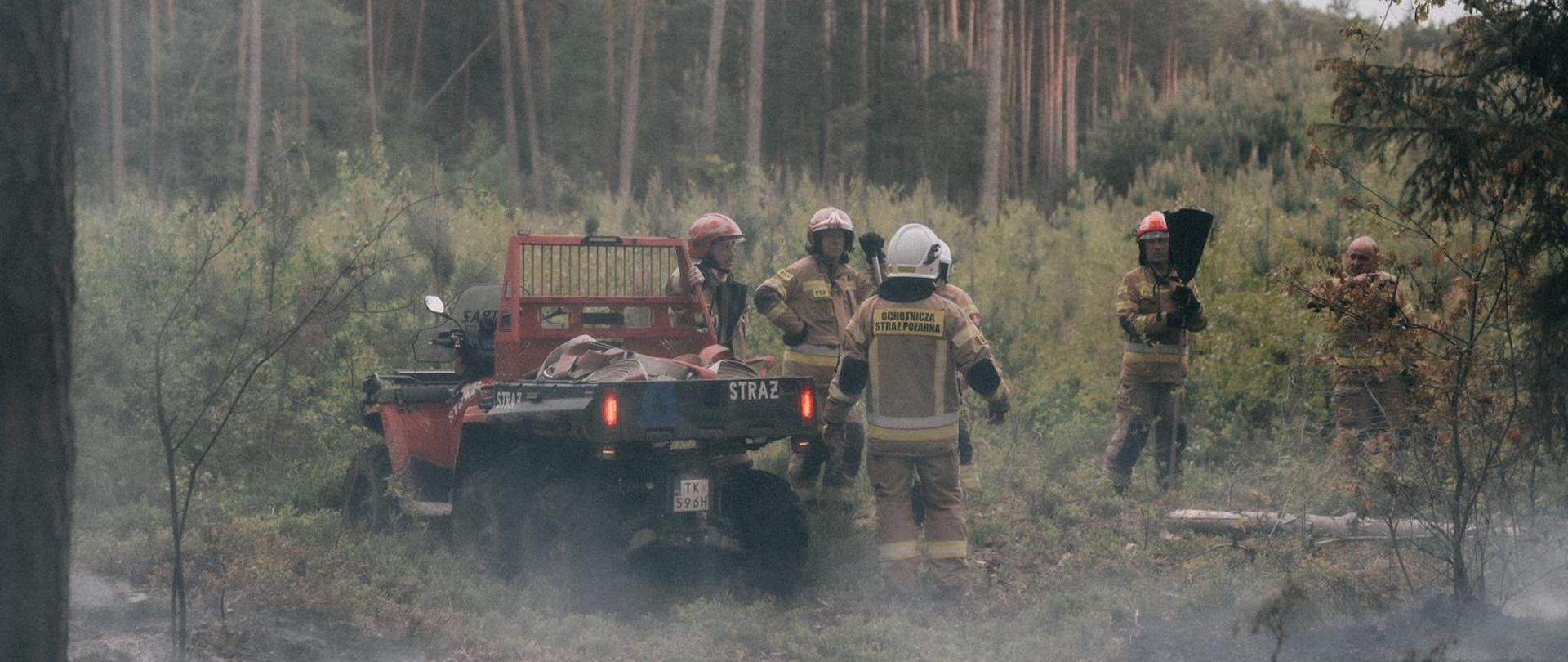 Strażacy podczas pożaru lasu