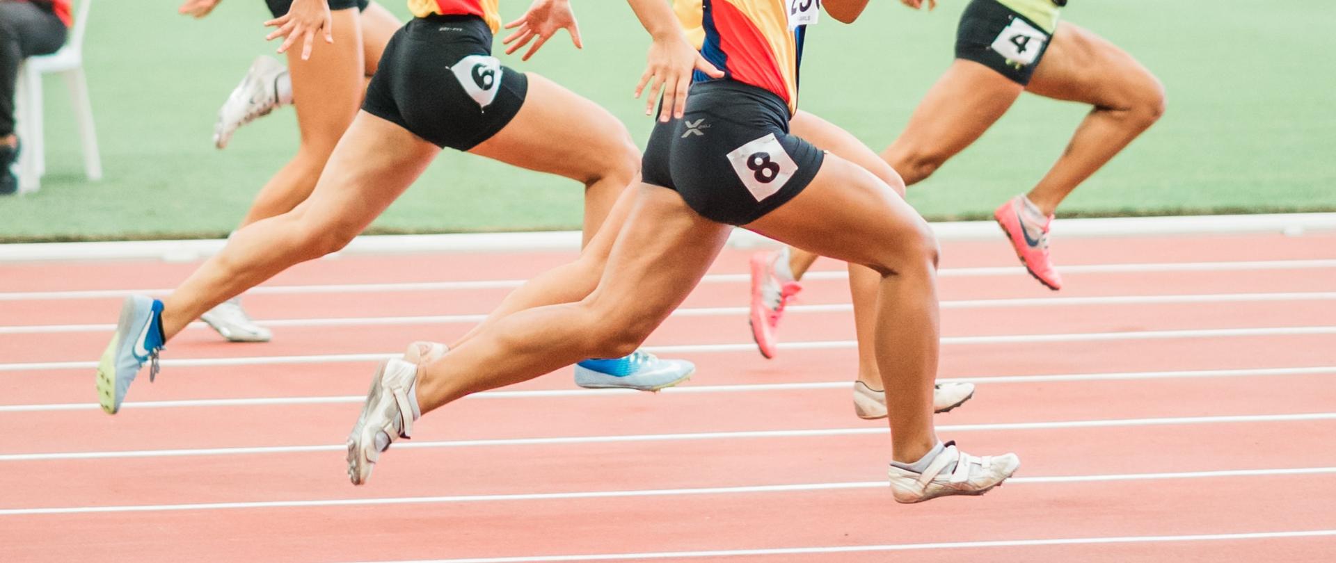 Wyniki II konkursu na dofinansowanie imprez mistrzowskich oraz międzynarodowych zawodów kwalifikacyjnych do Igrzysk Olimpijskich Tokio 2020