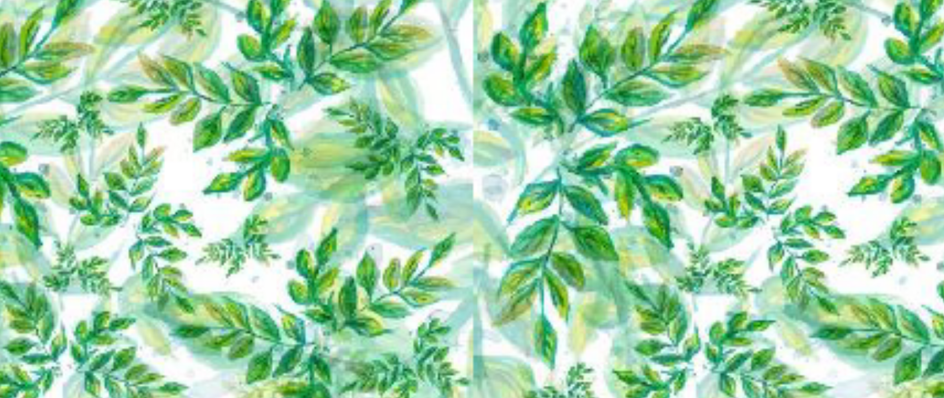 Zielone liście na białym tle