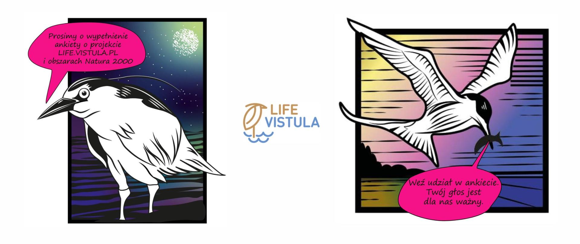 Grafika z ptakami zachęcającymi do wypełnienia ankiety