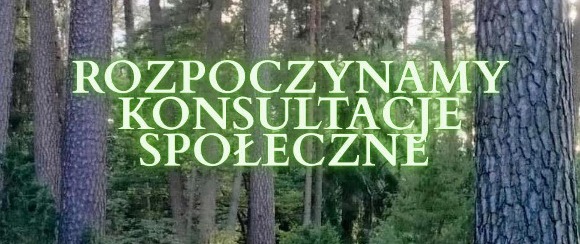 Konsultacje społeczne