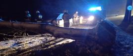 Na zdjęciu widać przewrócone drzewo, rozbity samochód oraz strażaków 