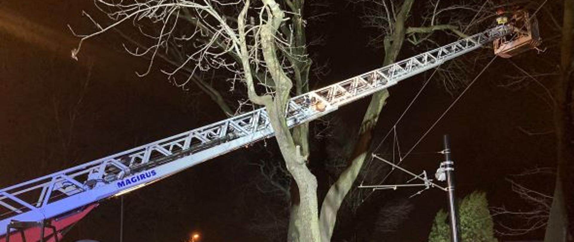 Zdjęcie przedstawia samochód SCD-37 podczas usuwania skutków silnego wiatru na terenie Rudy Śląskiej.