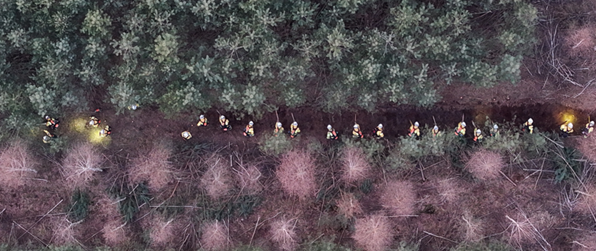 ćwiczenia GFFF Poznań