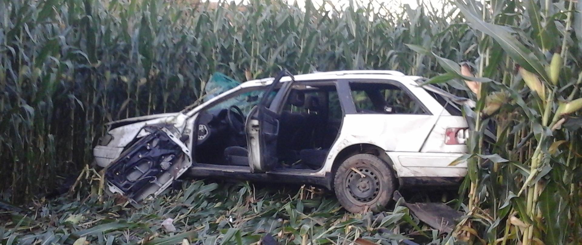 Zniszczony samochód osobowy stojący na polu polu kukurydzy.