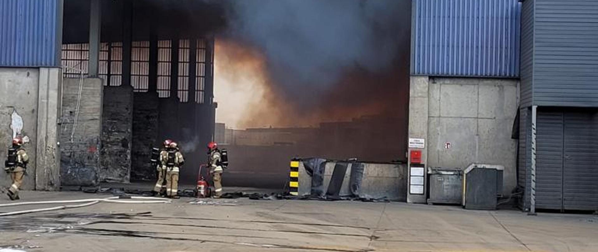 Pożar hali z odpadami w Skarimierzu, czterech strażaków podczas działań gaśniczych.
