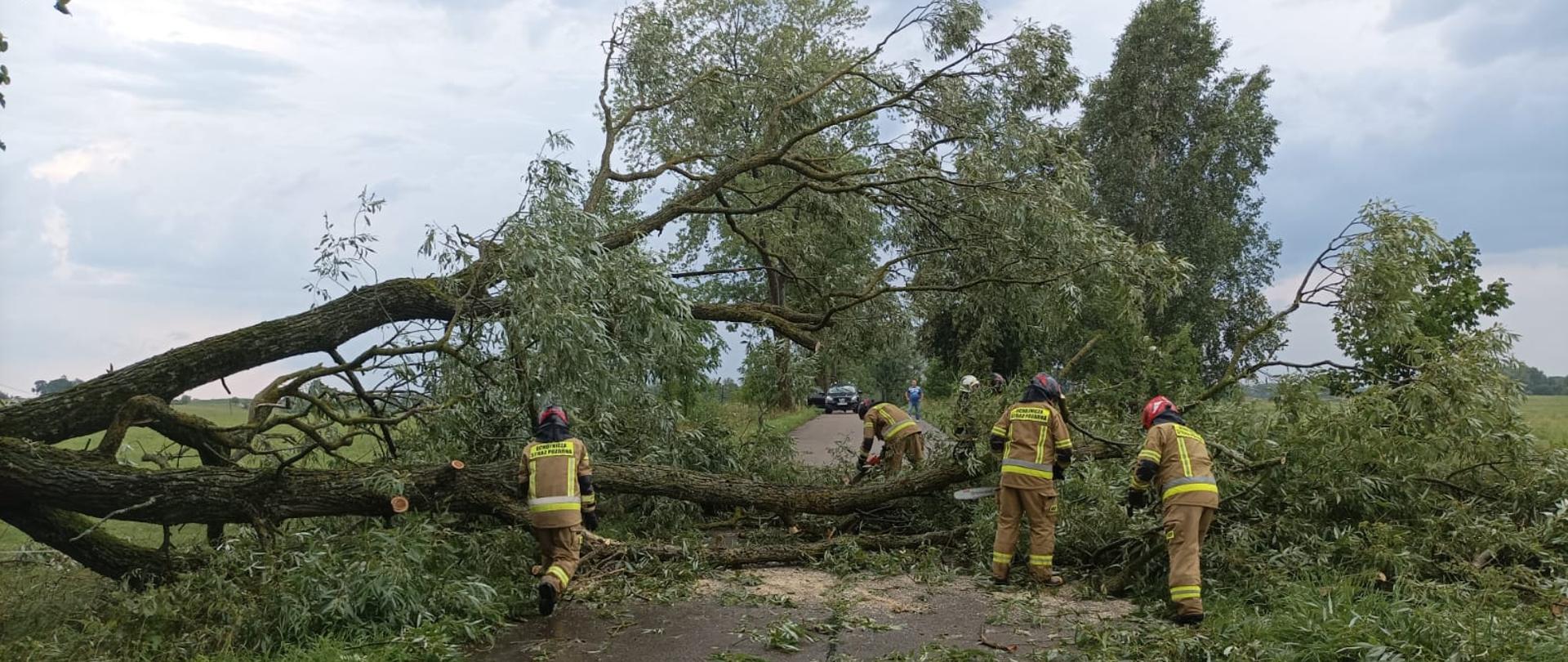 Strażacy usuwają skutki niedzielnej wichury.