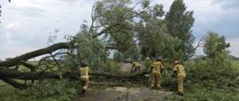 Strażacy usuwają skutki niedzielnej wichury.