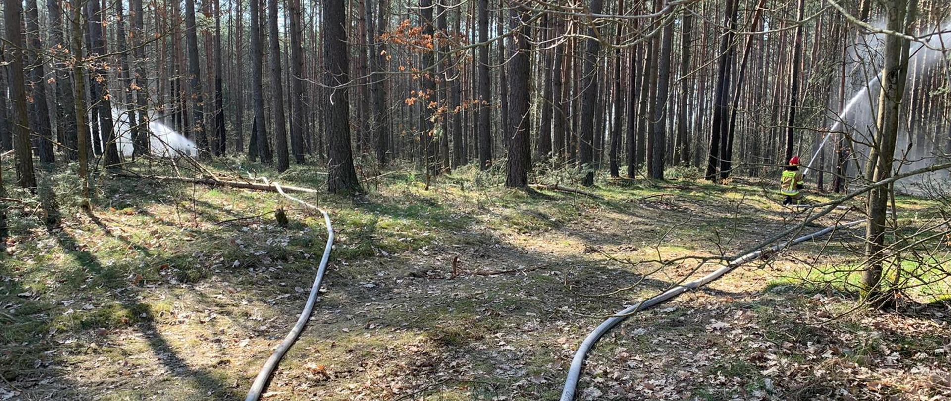 Roty gaśnicze podają wodę na pozorowany pożar.