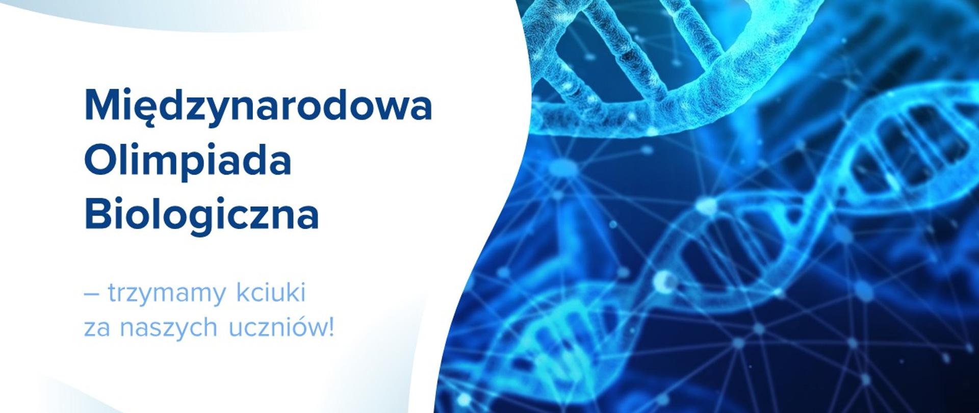Biało-niebieska grafika z tekstem: "Międzynarodowa Olimpiada Biologiczna – trzymamy kciuki za naszych uczniów!"