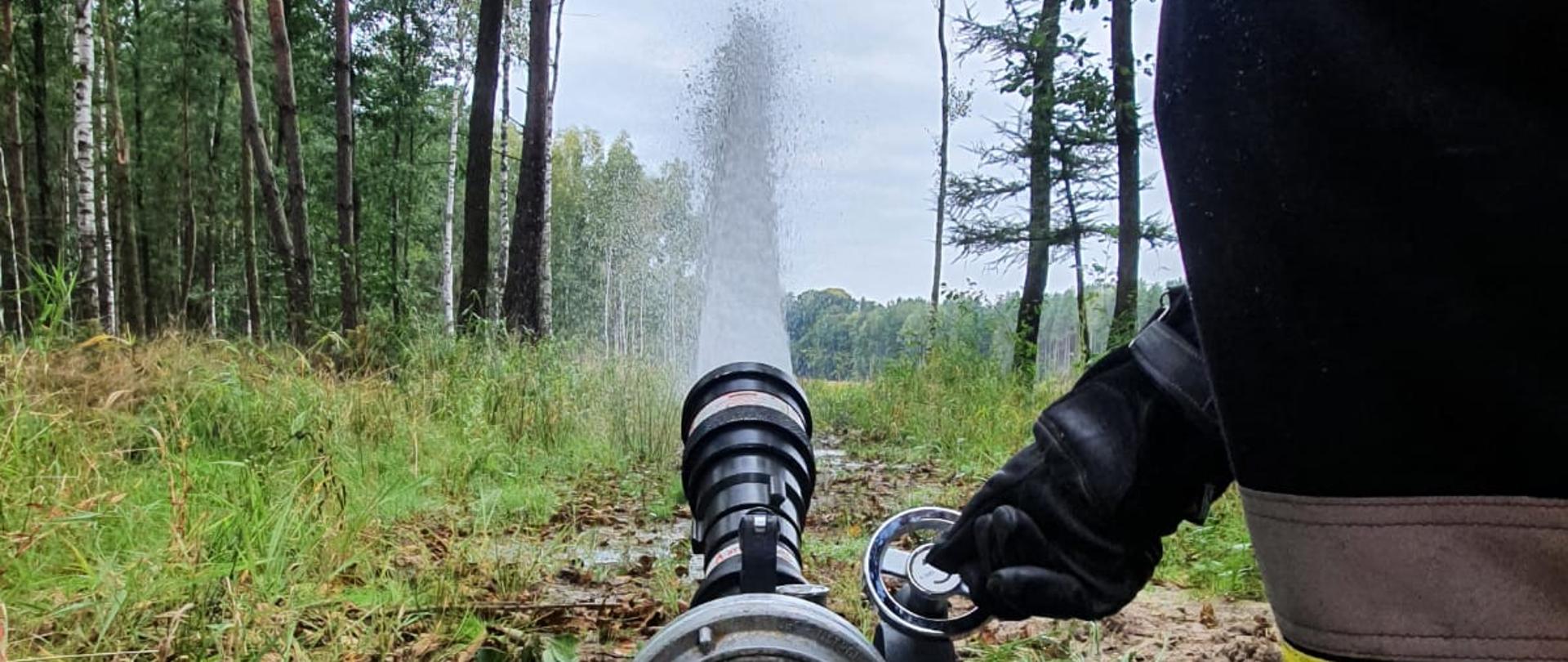 Na pierwszym planie działko wodne podłączone do węża strażackiego. Z działka leje się woda w kierunku lasu.