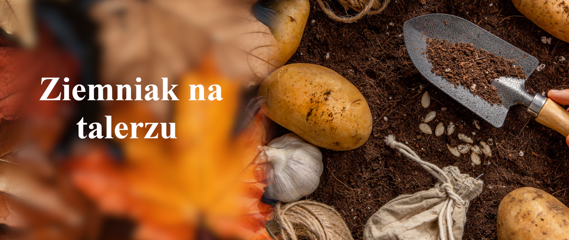 baner - ziemniak na talerzu