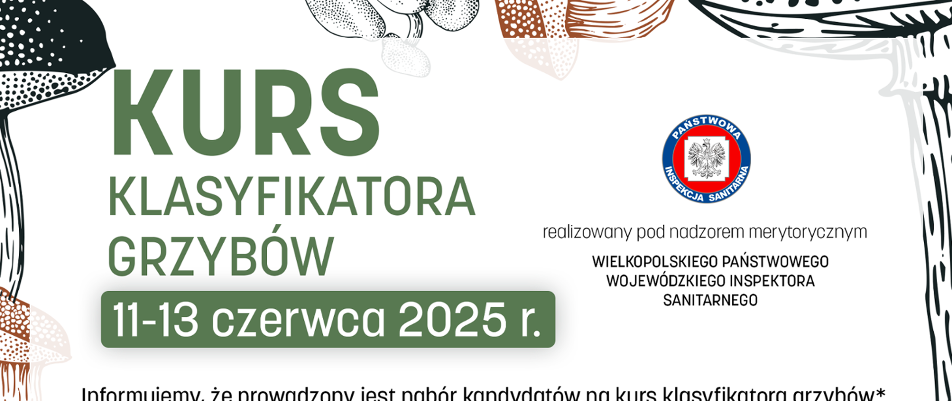 kurs klasyfikatora grzybów