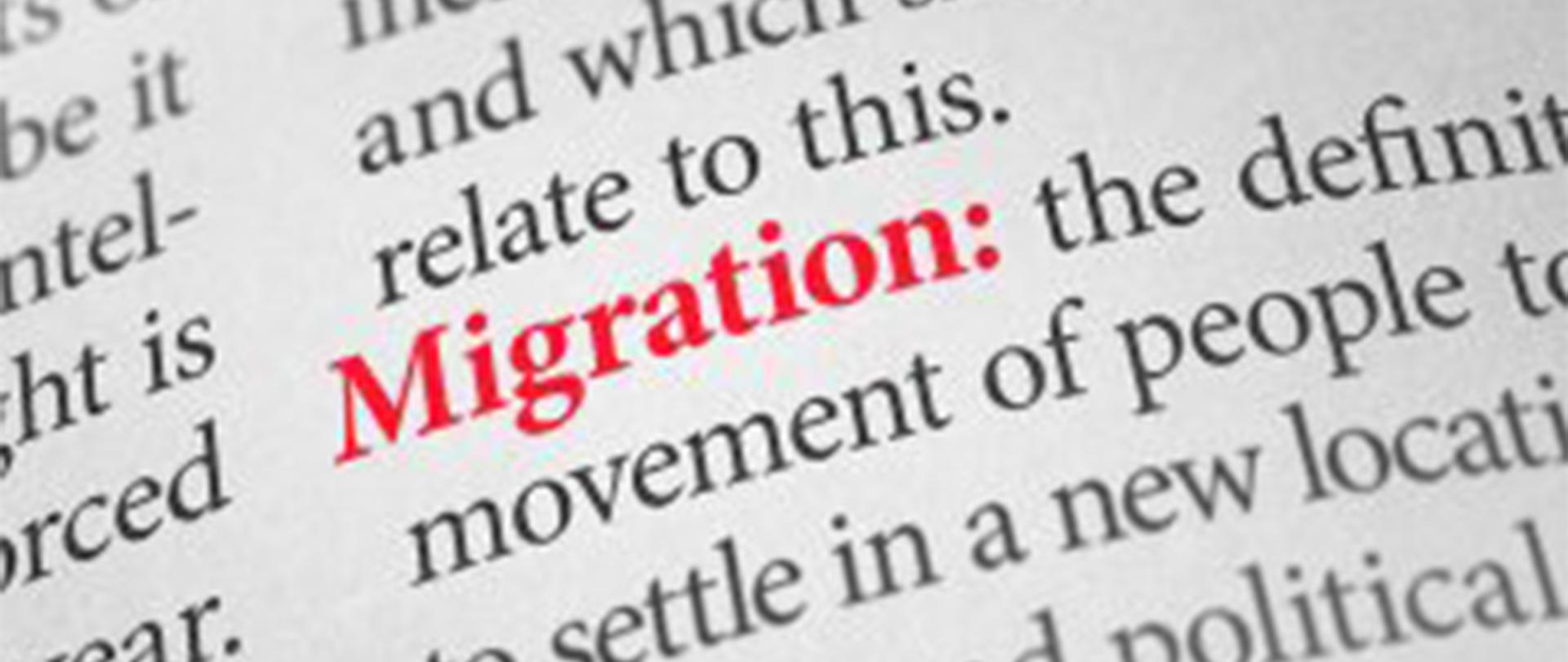 Na zdjęciu: fragment tekstu. Wyróżnione kolorem słowo "MIGRATOIN" 