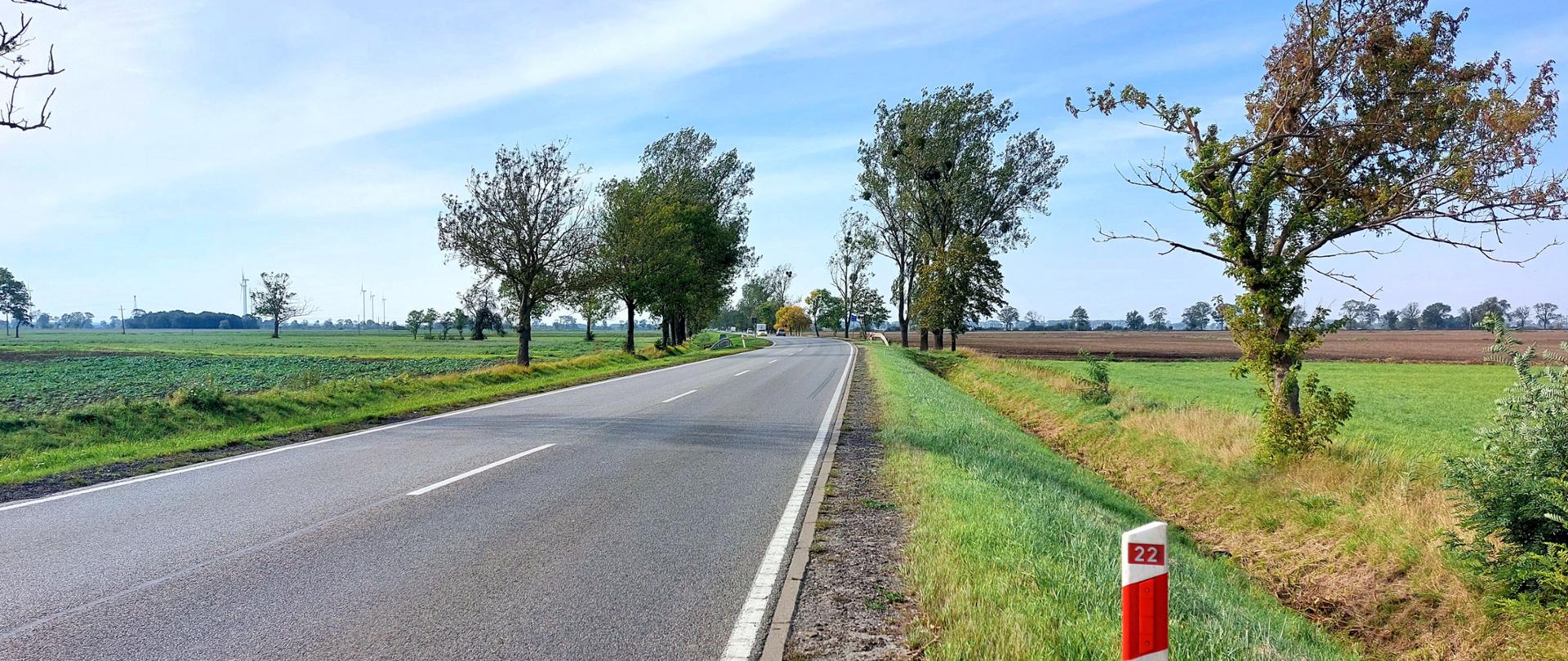 Droga krajowa nr 22 w Gnojewie