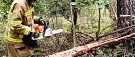 Szkolenie z zakresu techniki ścinki drzew, okrzesywania i przerzynki drzew leżących podpartych jedno i dwupunktowo wg naprężeń ściskających i rozciągających dla strażaków Ochotniczych Straży Pożarnych z terenu powiatu obornickiego zorganizowane przez Nadleśnictwo Durowo.