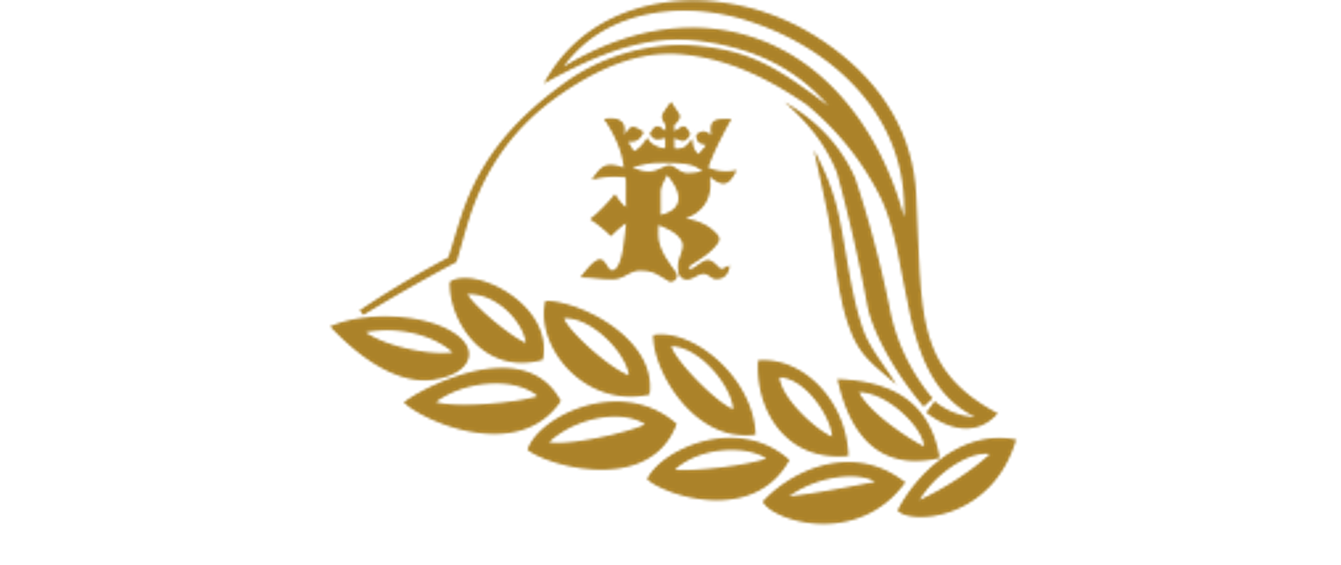 Logo SA PSP w Krakowie prostokąt