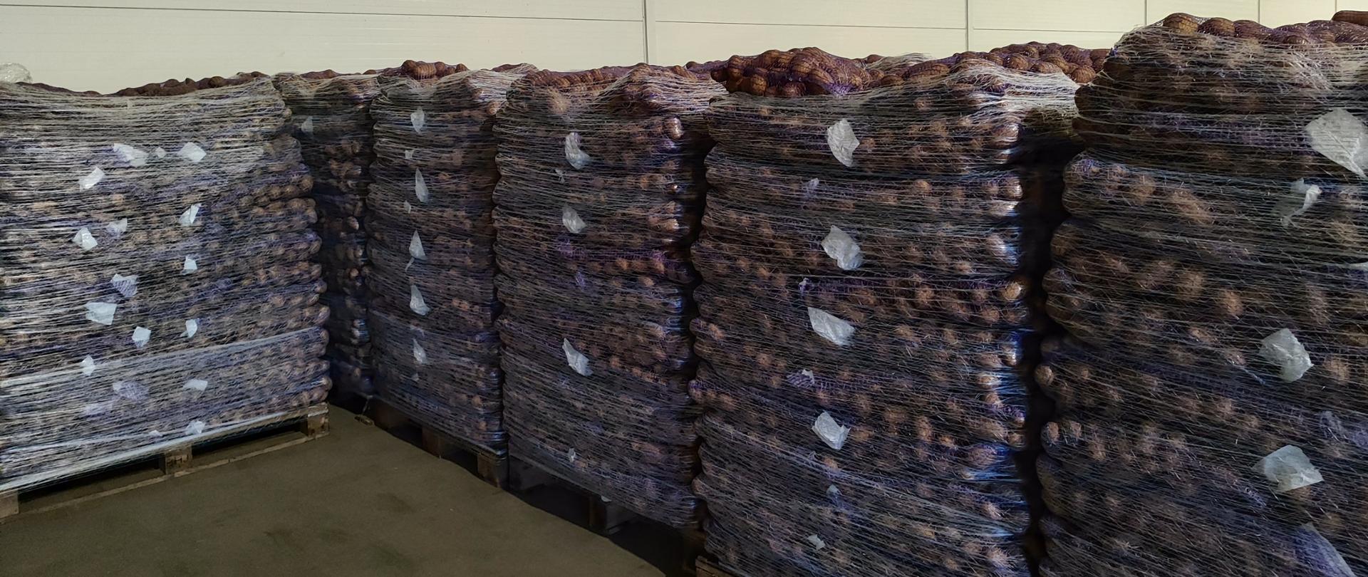 Kontrola przedeksportowa ziemniaków