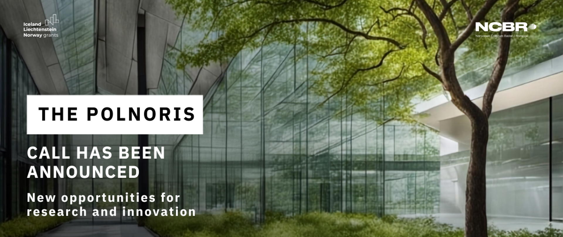 The POLNORIS call has been announced. New opportunities for research and innovation