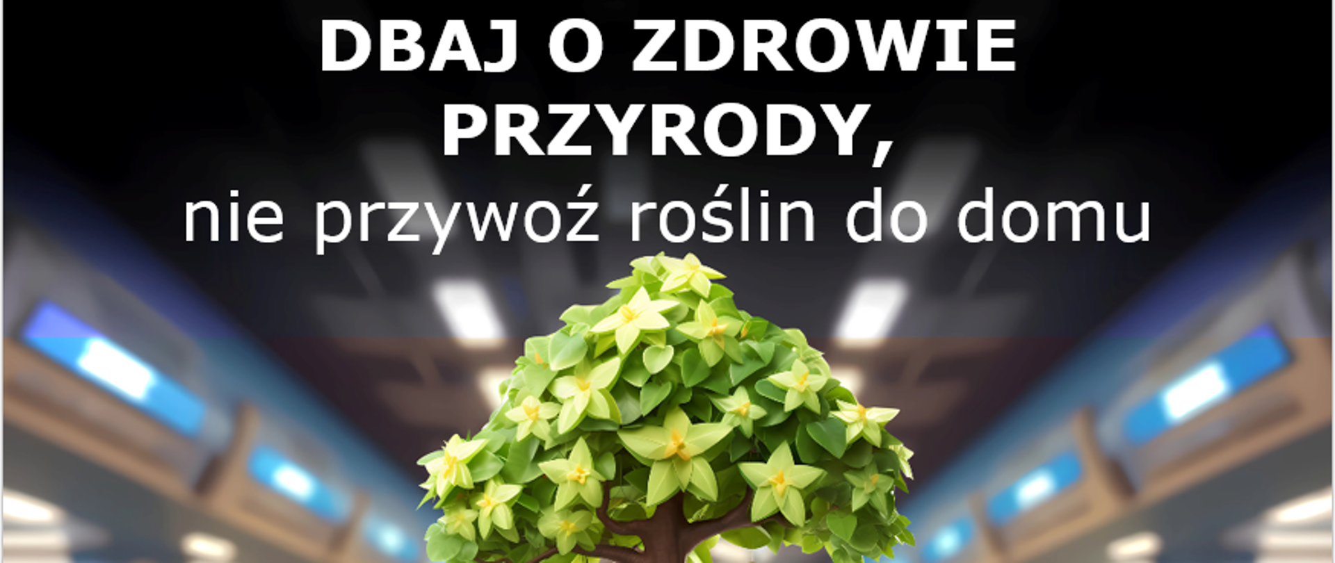 dbaj o zdrowie przyrody, nie przywoź roślin do domu