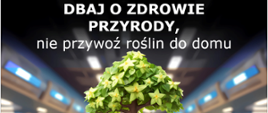 dbaj o zdrowie przyrody, nie przywoź roślin do domu