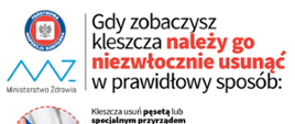Jak_usunąć_kleszcza