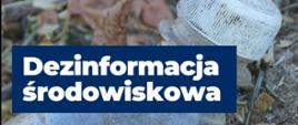 Trwa nabór wniosków w konkursie NFOŚiGW