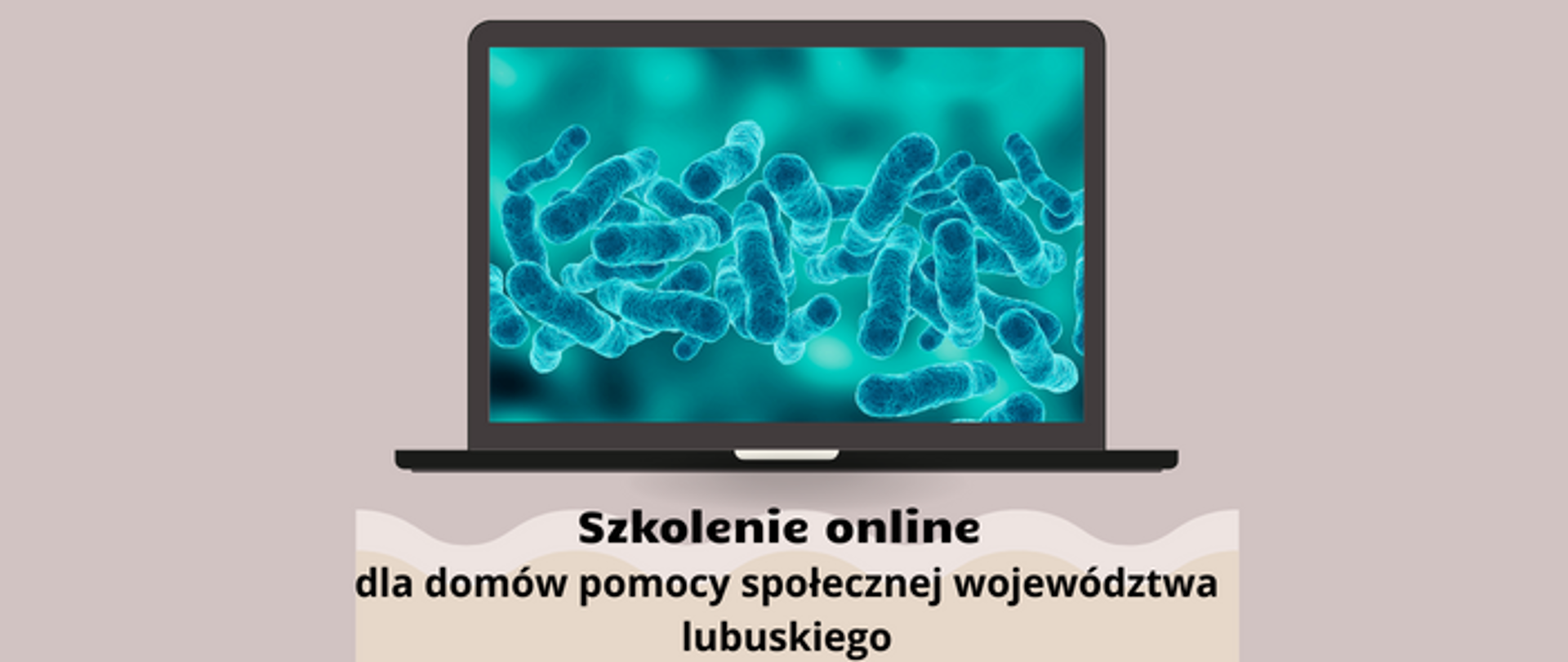 w centrum obrazek komputera, a pod nim napis - szkolenie online dla domów pomocy społecznej województwa lubuskiego
