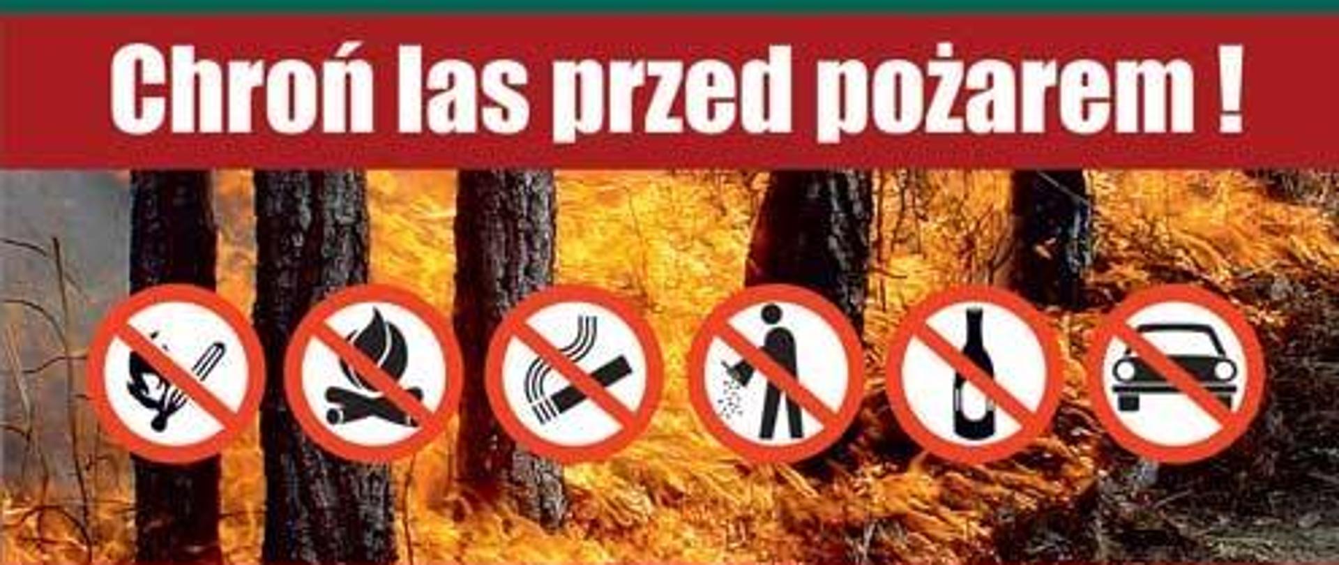 Zdjęcie przedstawia plakat w formie ulotki na której znajdują się informacje dotyczące zakazu używania otwartego ognia w lesie, wyrzucania butelek oraz wjazdu samochodem. Ponadto przedstawione są numery alarmowe 112 i 998