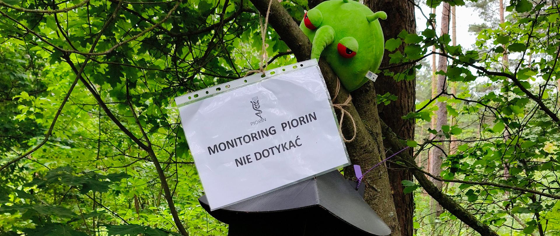 Zielona maskotka PESTY siedząca na gałęzi drzewa i spoglądająca na pułapkę do odłowu owadów, do której jest przyczepiona kartka z napisem Monitoring PIORiN nie dotykać