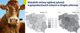 Zdjęcie przedstawia wskaźnik ogólnej sytuacji w gospodarstwach rolnych w 2024 i II półroczu 2025 roku. 