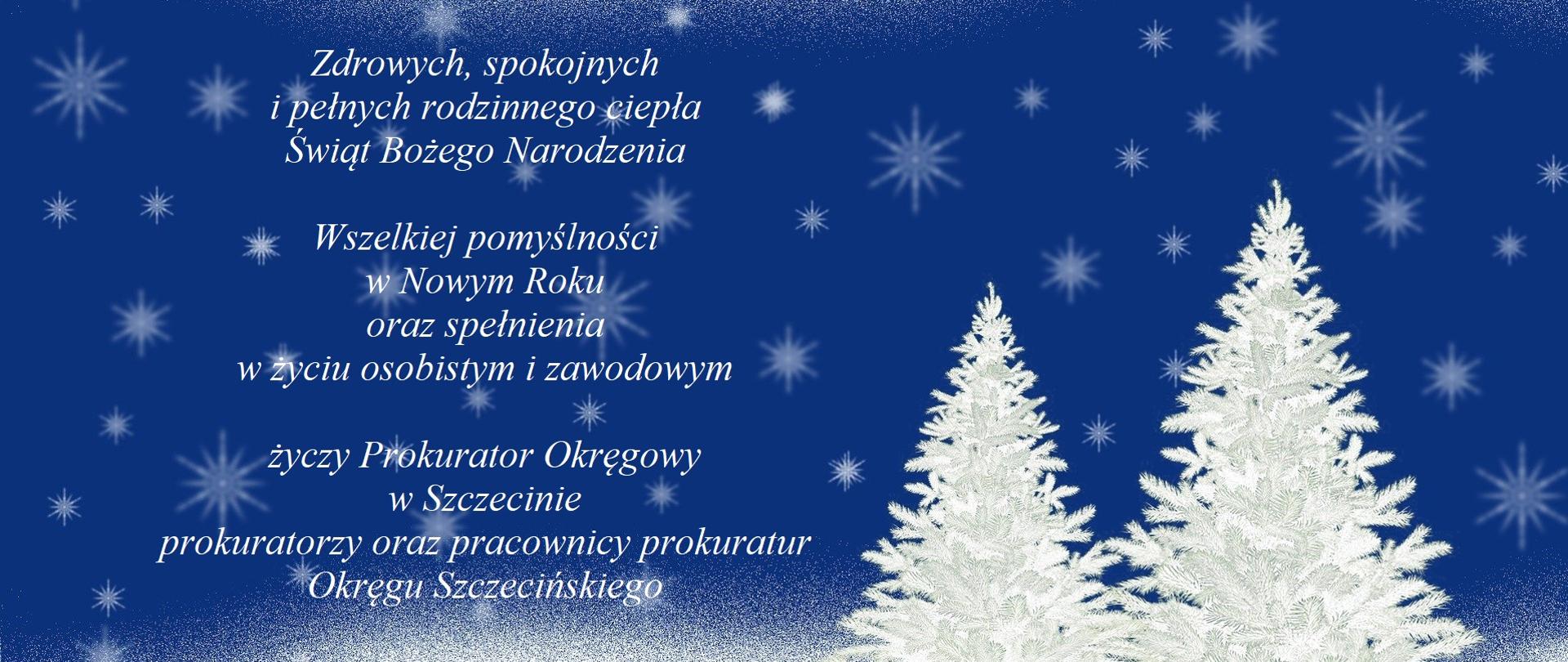 kartka_swiateczna_BN2023