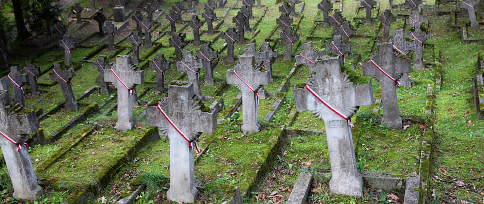 Minister Zbigniew Rau złożył kwiaty na Cmentarzu na Antokolu