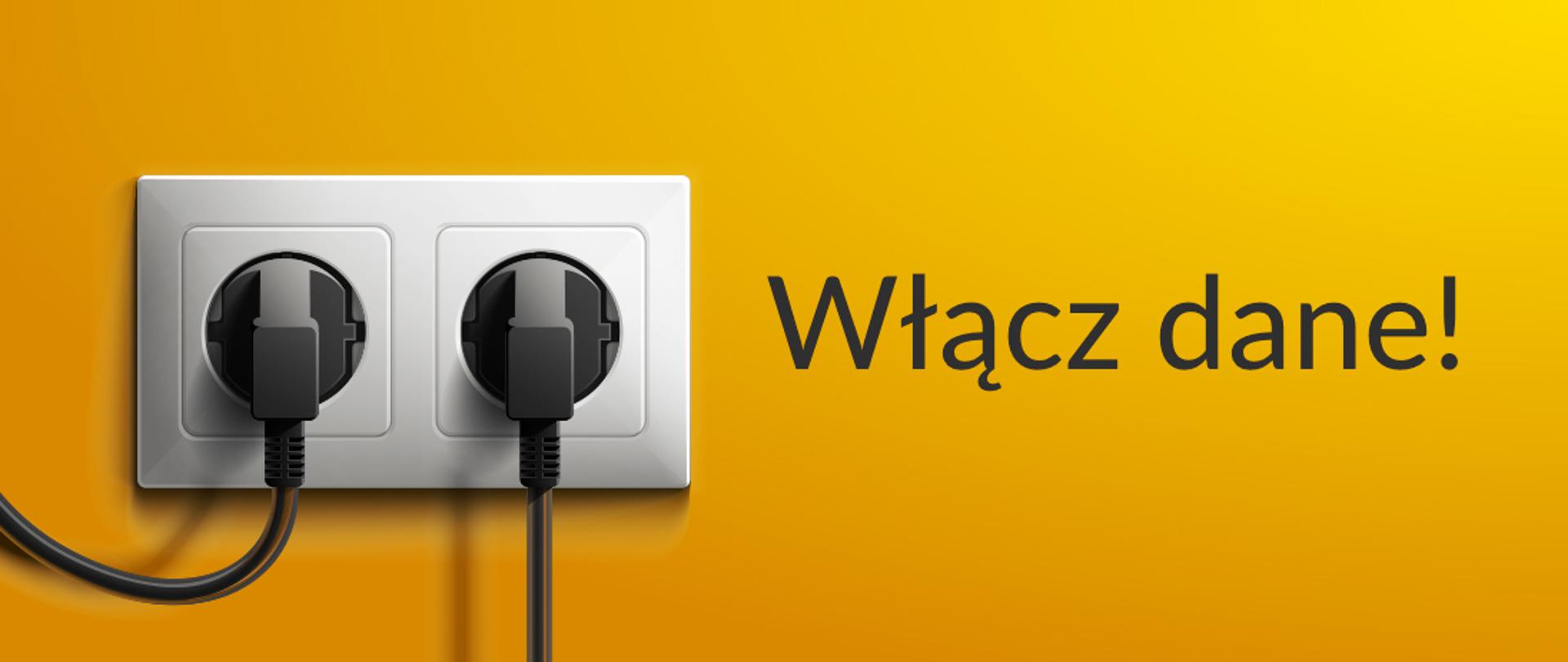 Kontakt z dwoma gniazdkami elektrycznymi. Do gniazdek podłączono dwie wtyczki. Napis: Włącz dane!