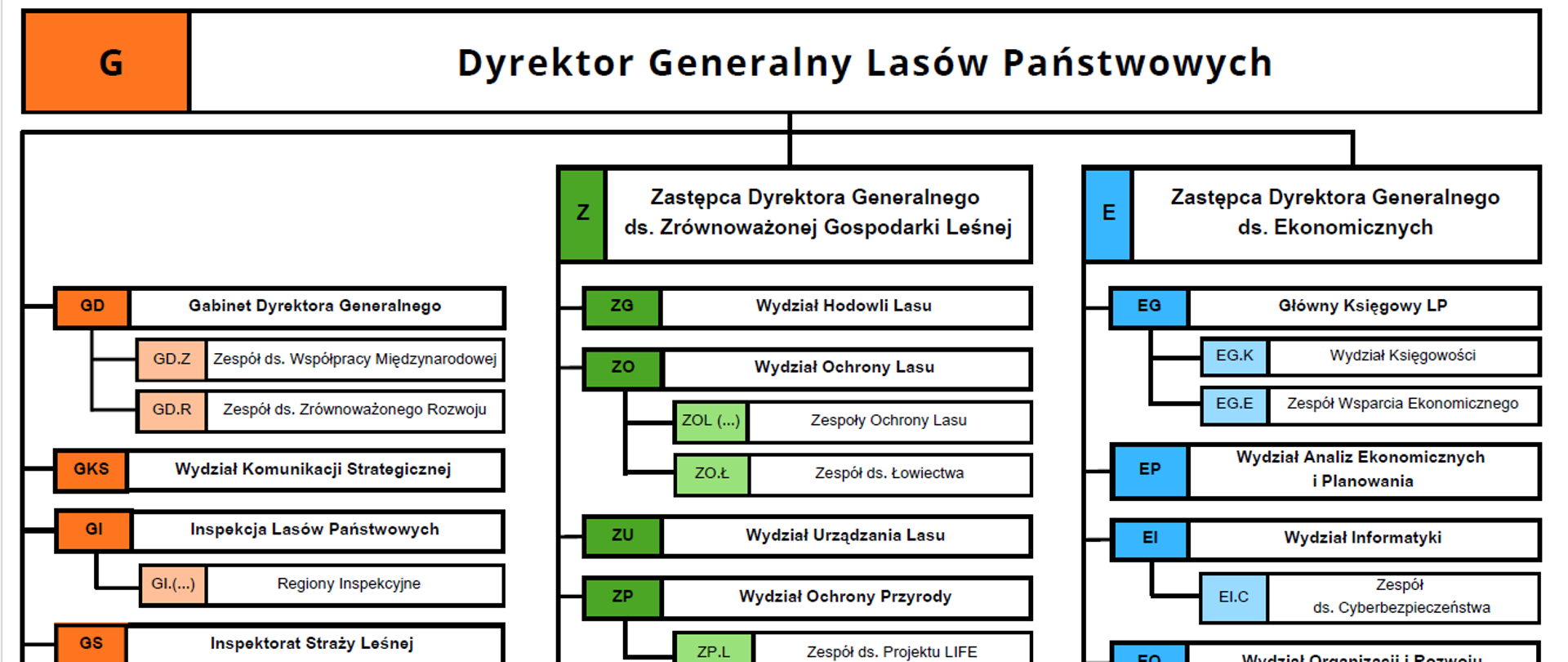 Schemat organizacyjny DGLP obowiązujący od 3.11.2025 r.