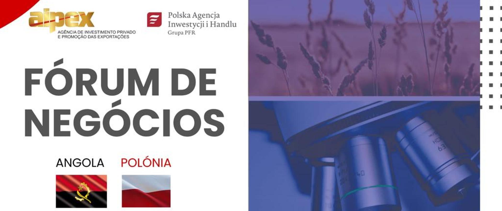 Forum de Negocios Polonia - Angola