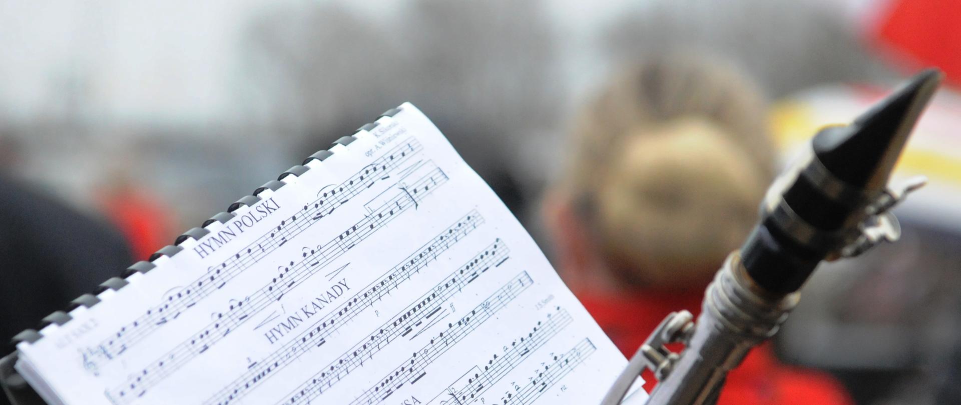 Celebrating 231st Anniversary of the Polish Constitution, Mississauga