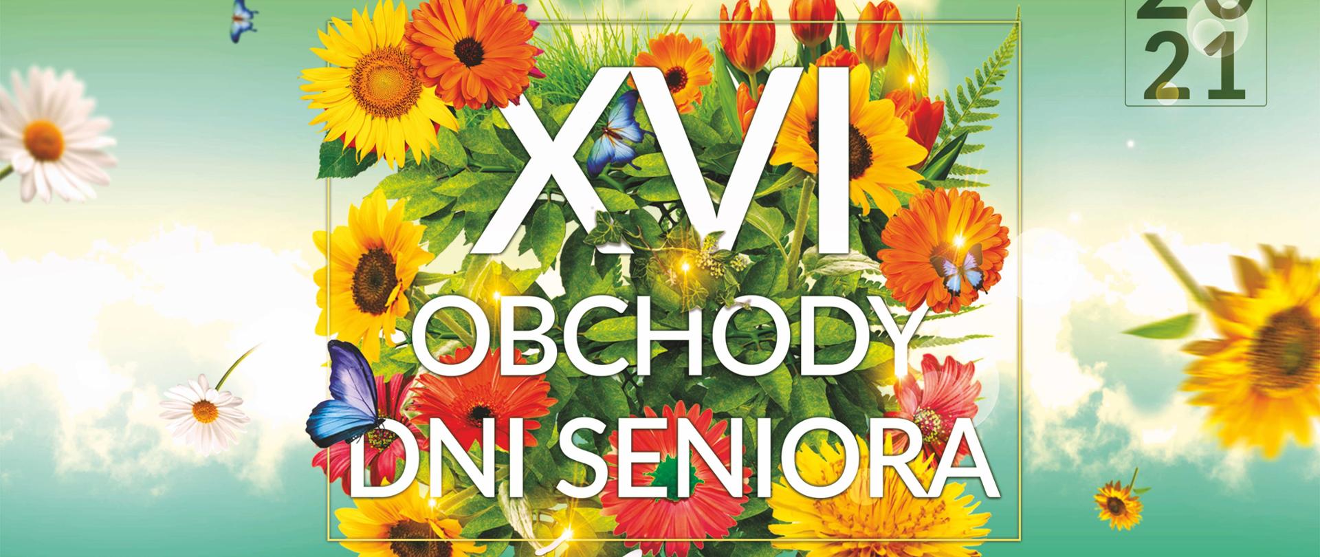 Plakat przedstawiający program XVI Obchody dni seniora w Świdnicy