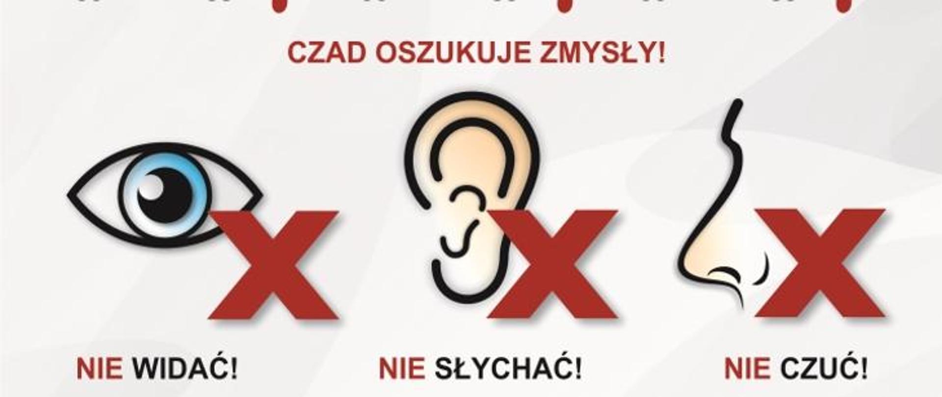 Czujka na straży Twojego bezpieczeństwa!