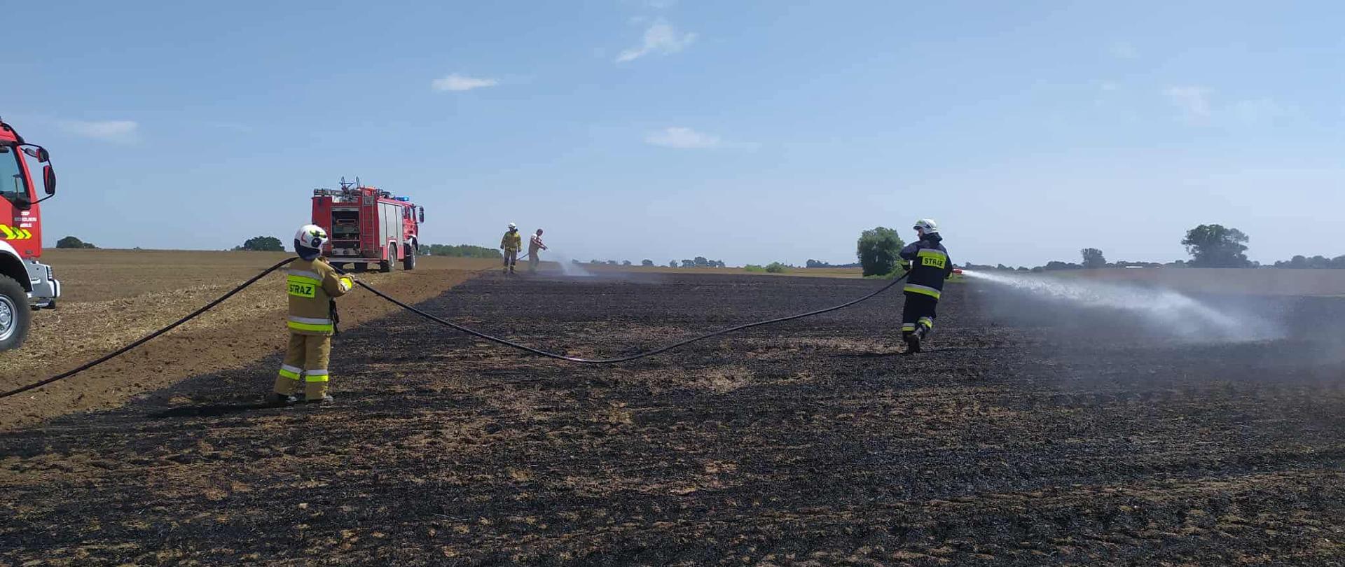 Strażacy gaszą pożar ścierniska