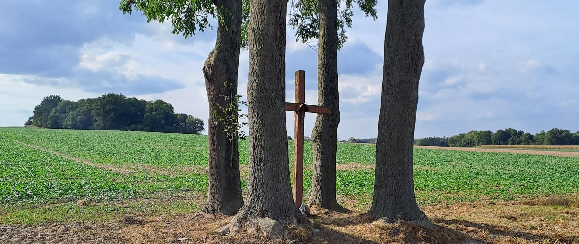 Krzyż stojący pomiędzy czterema drzewami