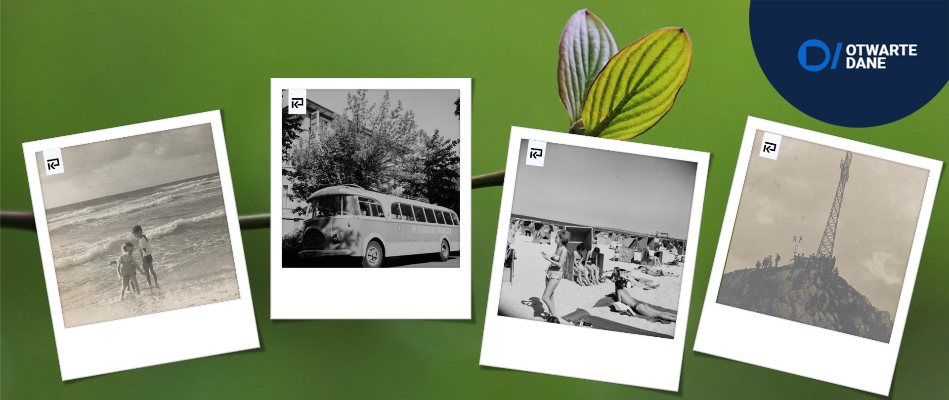 Sposób na uDANE, ekologiczne wakacje