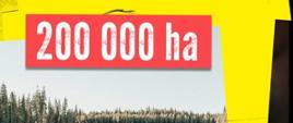 Zniszczony las i napis 200000ha of land cleared annually for tabacco agriculture&curing