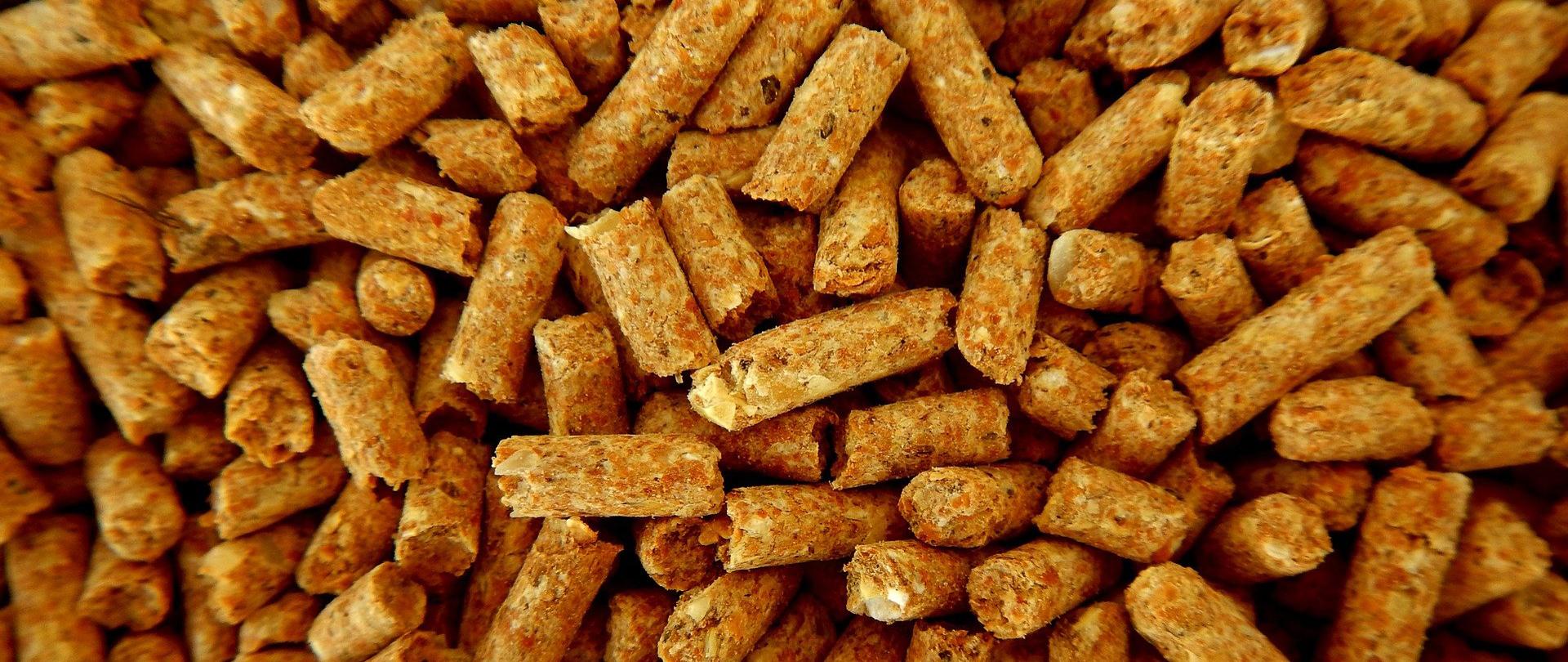 zdjęcie poglądowe - pasza