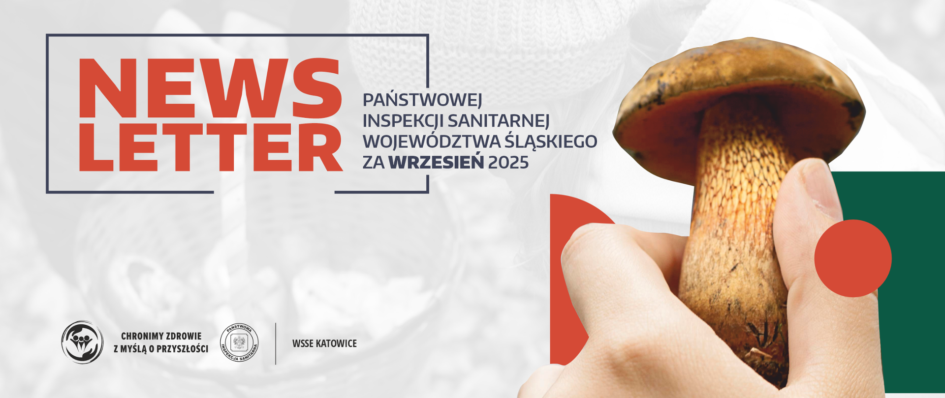 Grzyb leśny w dłoni, powyżej napis - Newsletter Państwowej Inspekcji Sanitarnej województwa śląskiego za wrzesień 2025 roku 