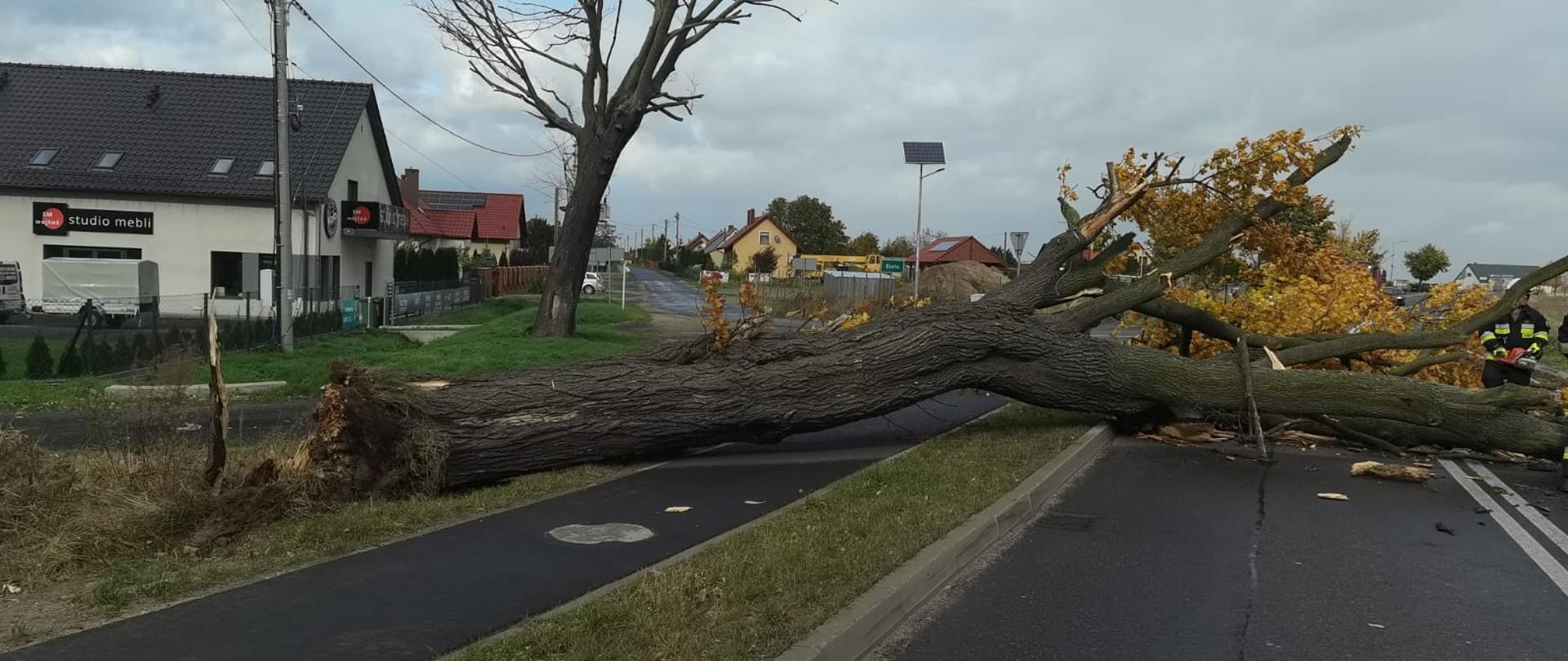 Wichura 21-22.10.2021 r.