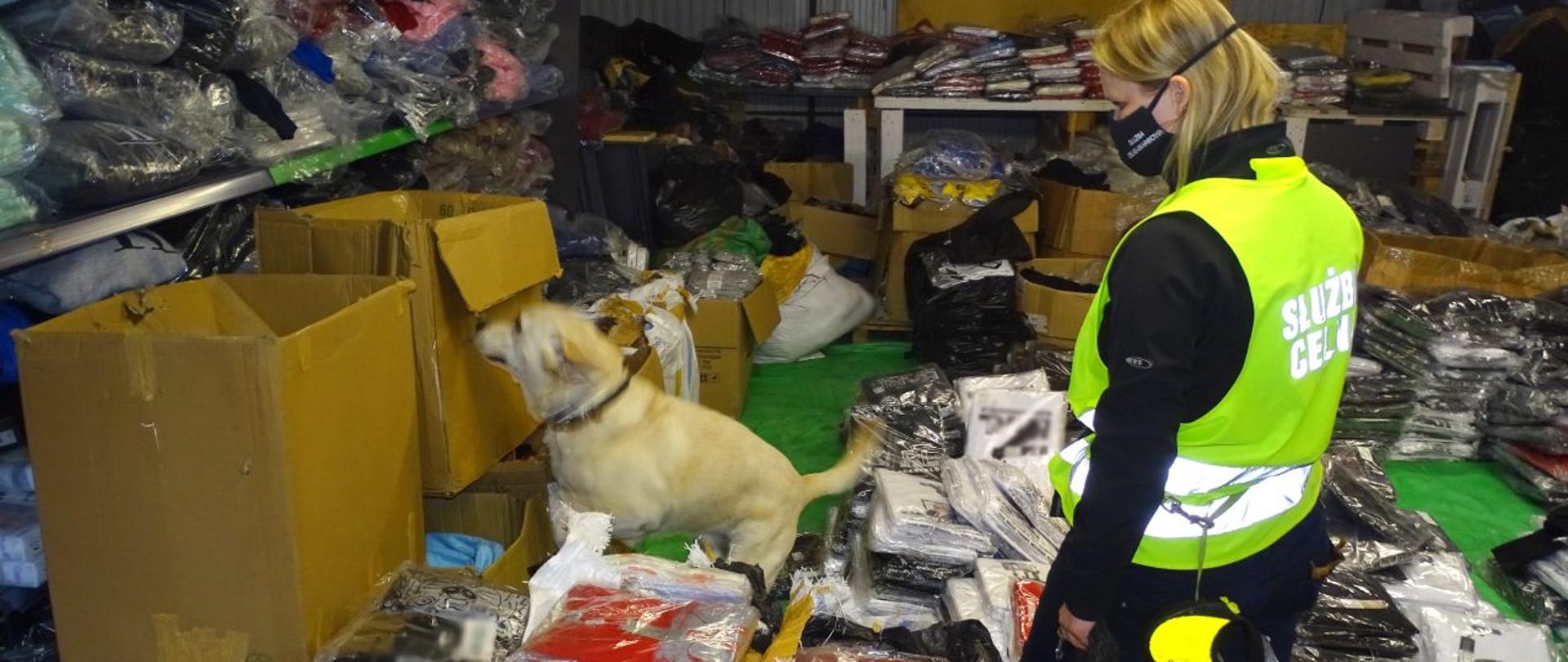 Wnętrze magazynu z porozrzucanymi podrabianymi towarami, funkcjonariuszka Służby Celno-Skarbowej i pies.