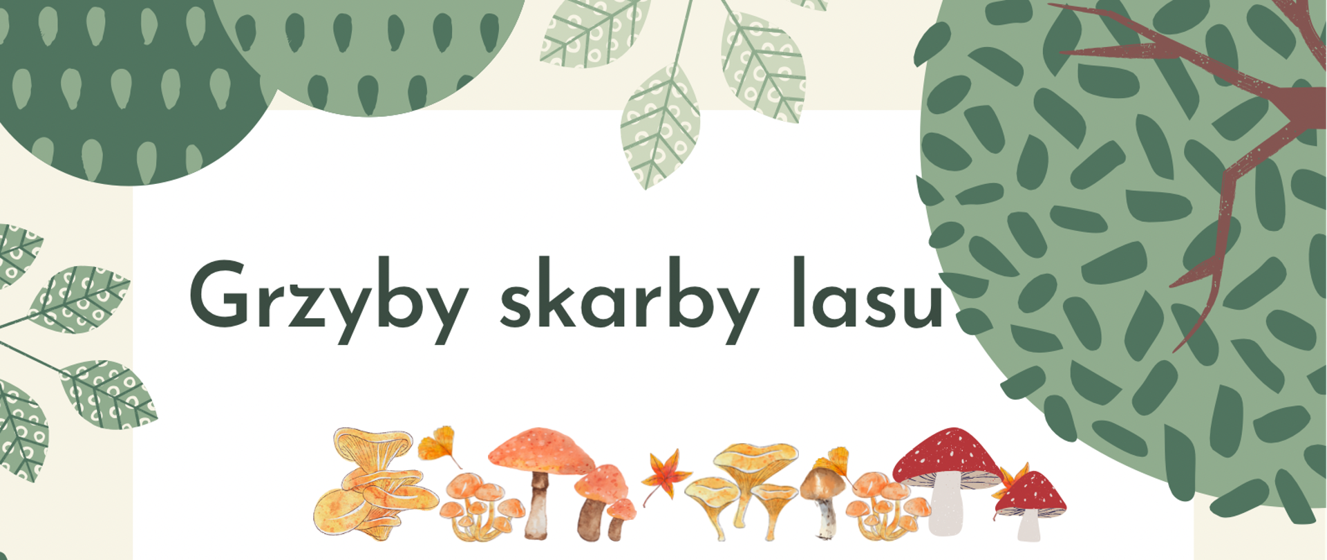 GRZYBY SKARBY LASU