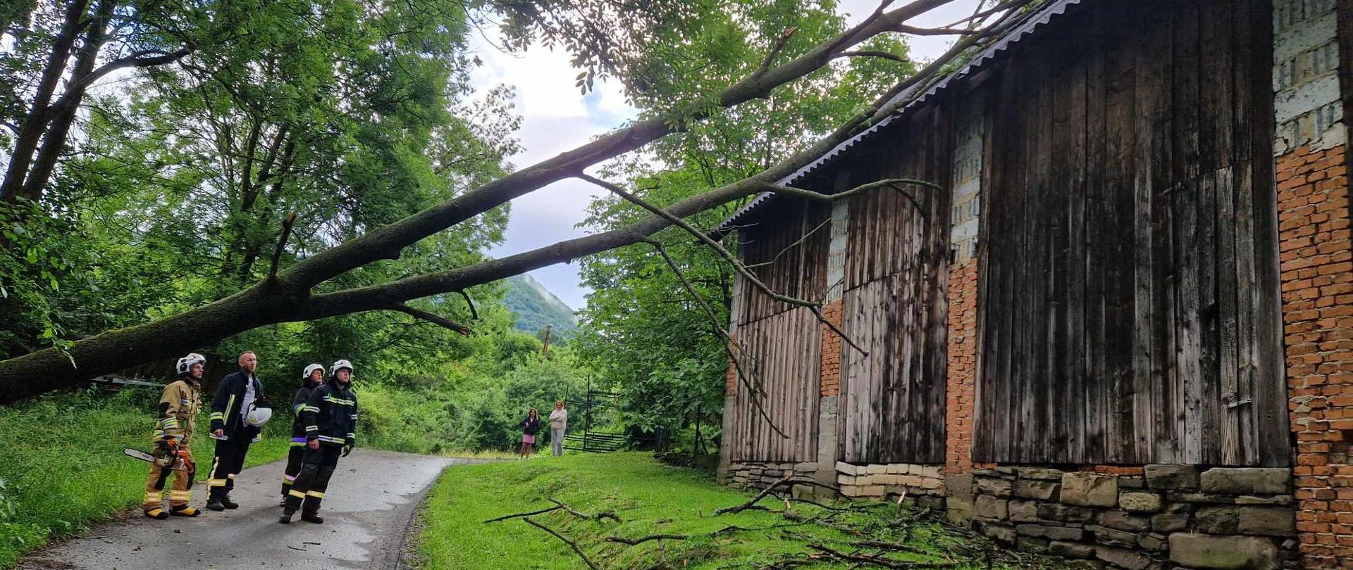Powalone drzewo na budynek gospodarczy a obok strażacy