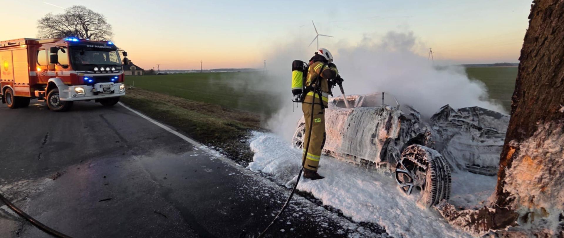 Zdjęcie przedstawia strażaków podczas zdarzenia drogowego.
W tle samochody strażackie, ambulans, droga i tereny zielone.
